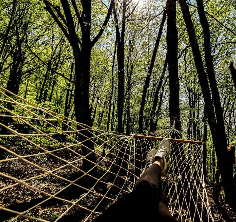 Robinzonski Turizam "Robin' S Hood" Skrad ภายนอก รูปภาพ