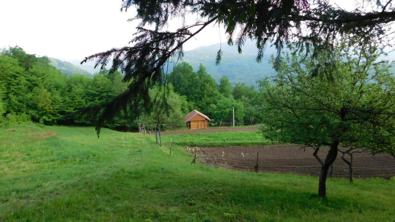 Robinzonski Turizam "Robin' S Hood" Skrad ภายนอก รูปภาพ